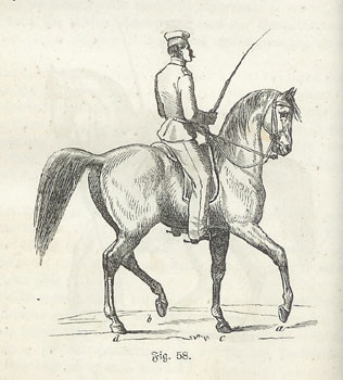 Kavallerihest i dressurtrening, 1866.