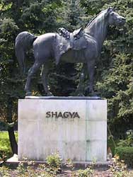 statue av Shagya ved Babolna-stutteriet